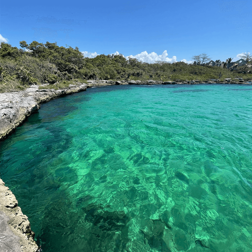 Mangroven Safari & Cenote - Tour