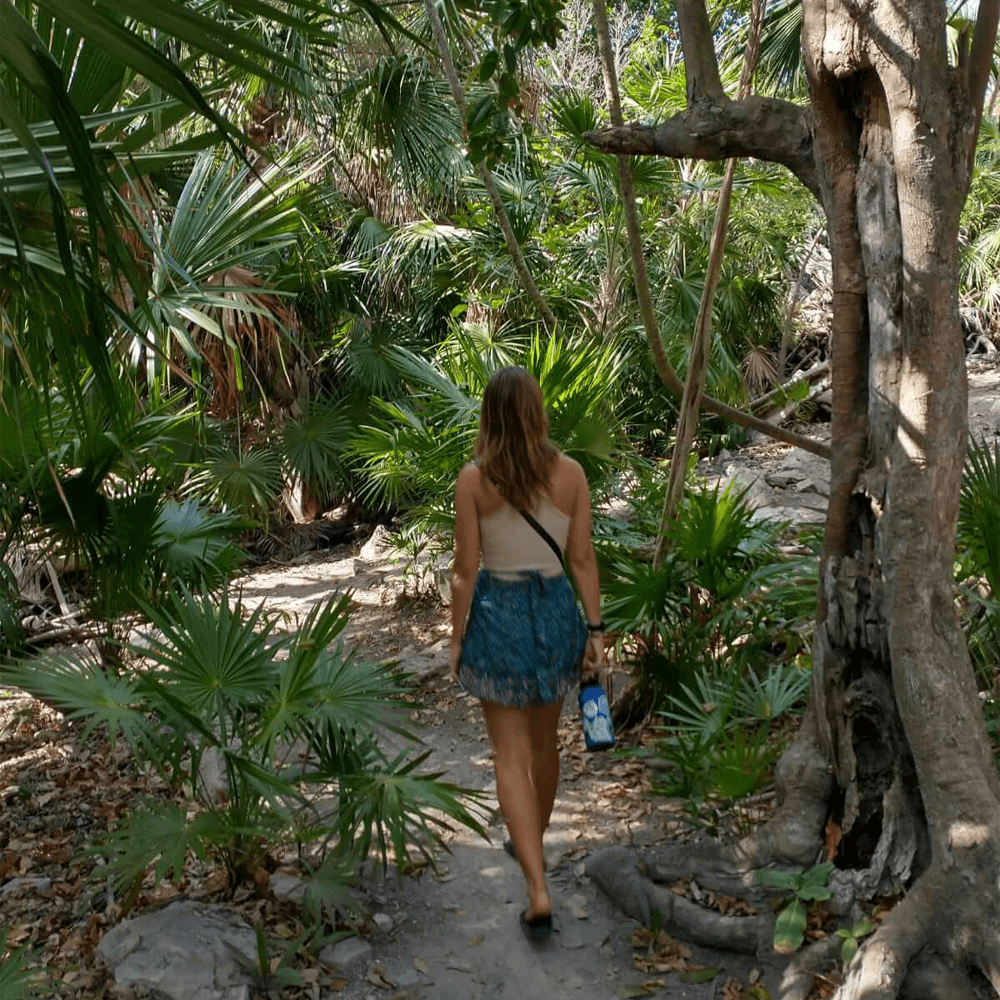 Mangroven Safari & Cenote - Tour