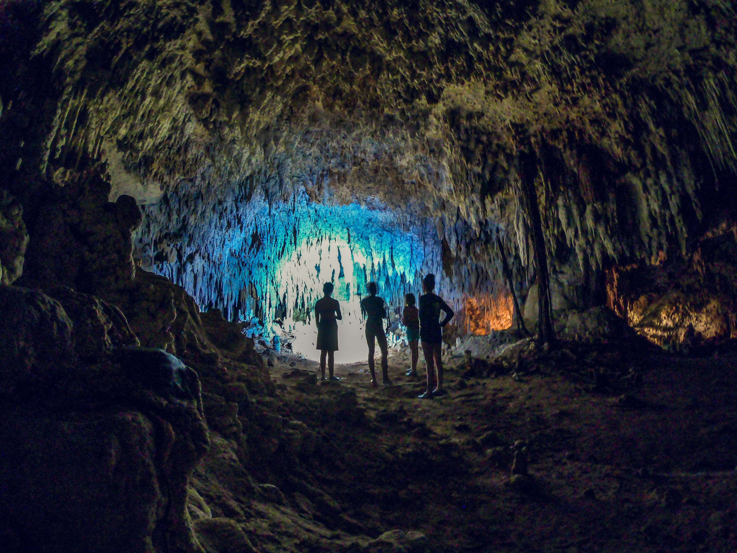 Schnorcheln mit Schildkröten & Cenote