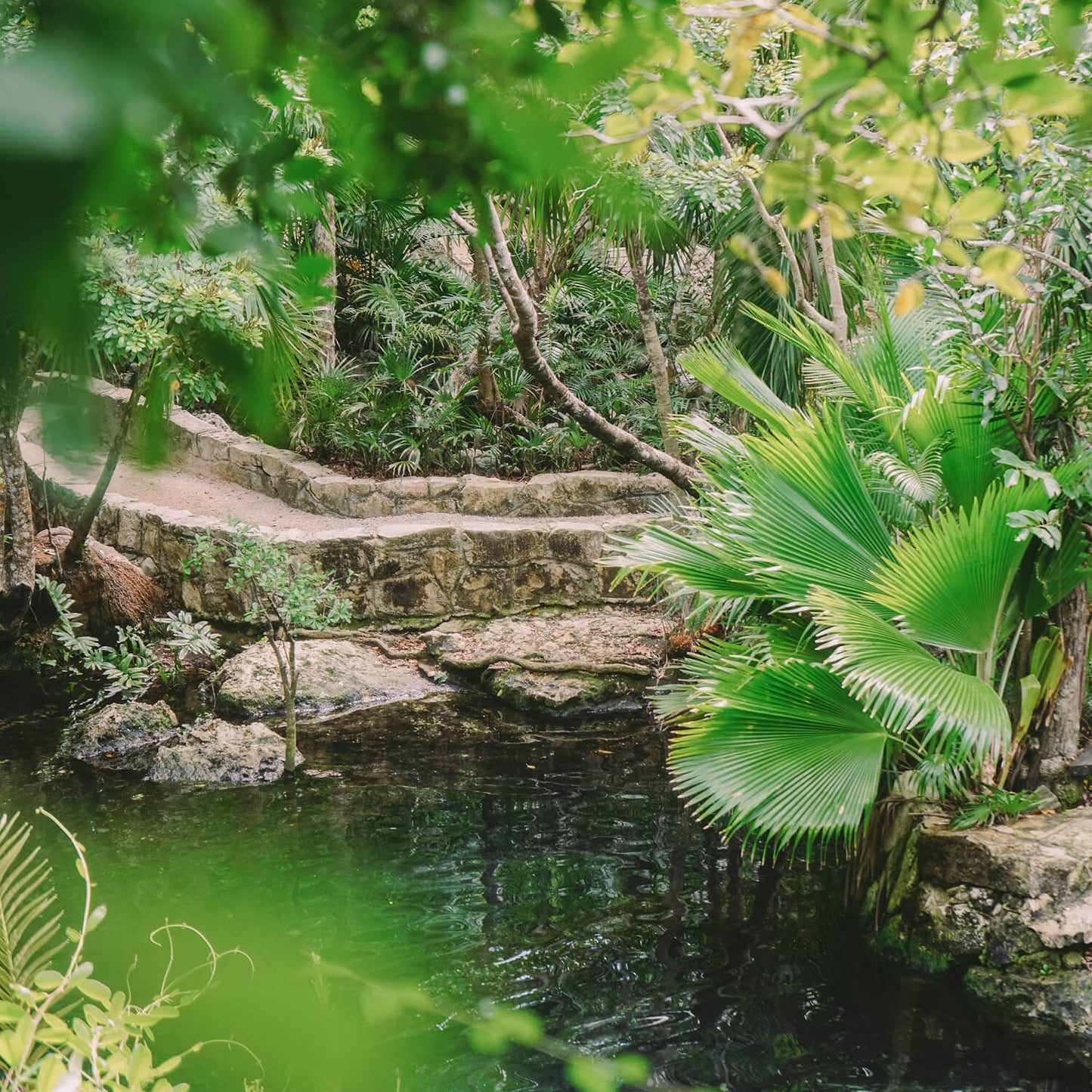 Tempel von Coba & Cenote