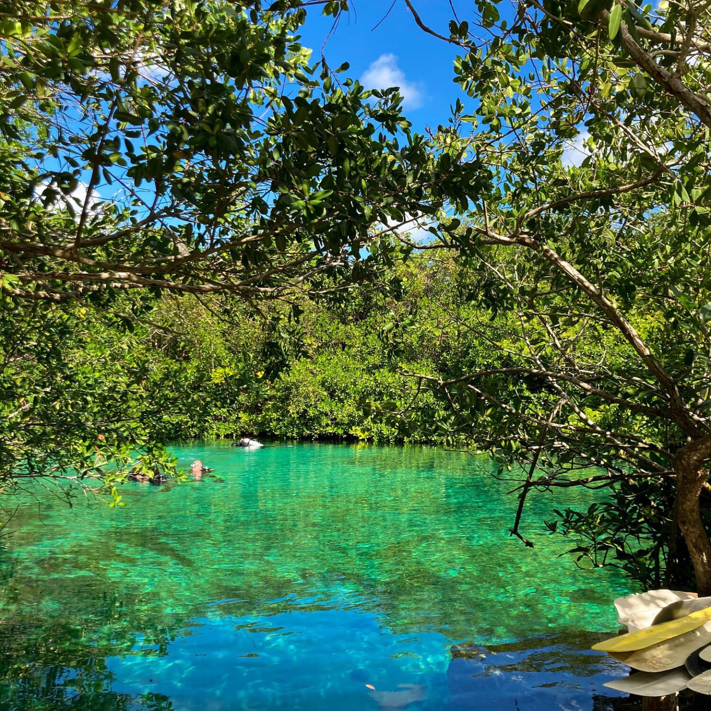Tempel von Coba & Cenote
