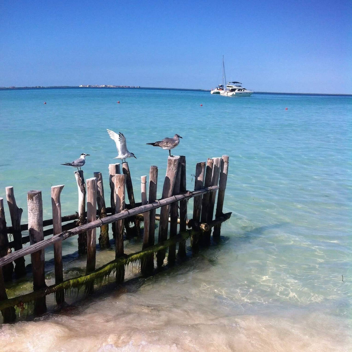 Katamaran-Tour Isla Mujeres