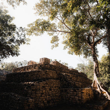 Tempel von Coba & Cenote