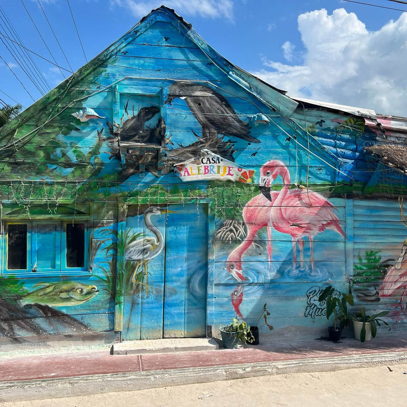 Isla Holbox - Tour