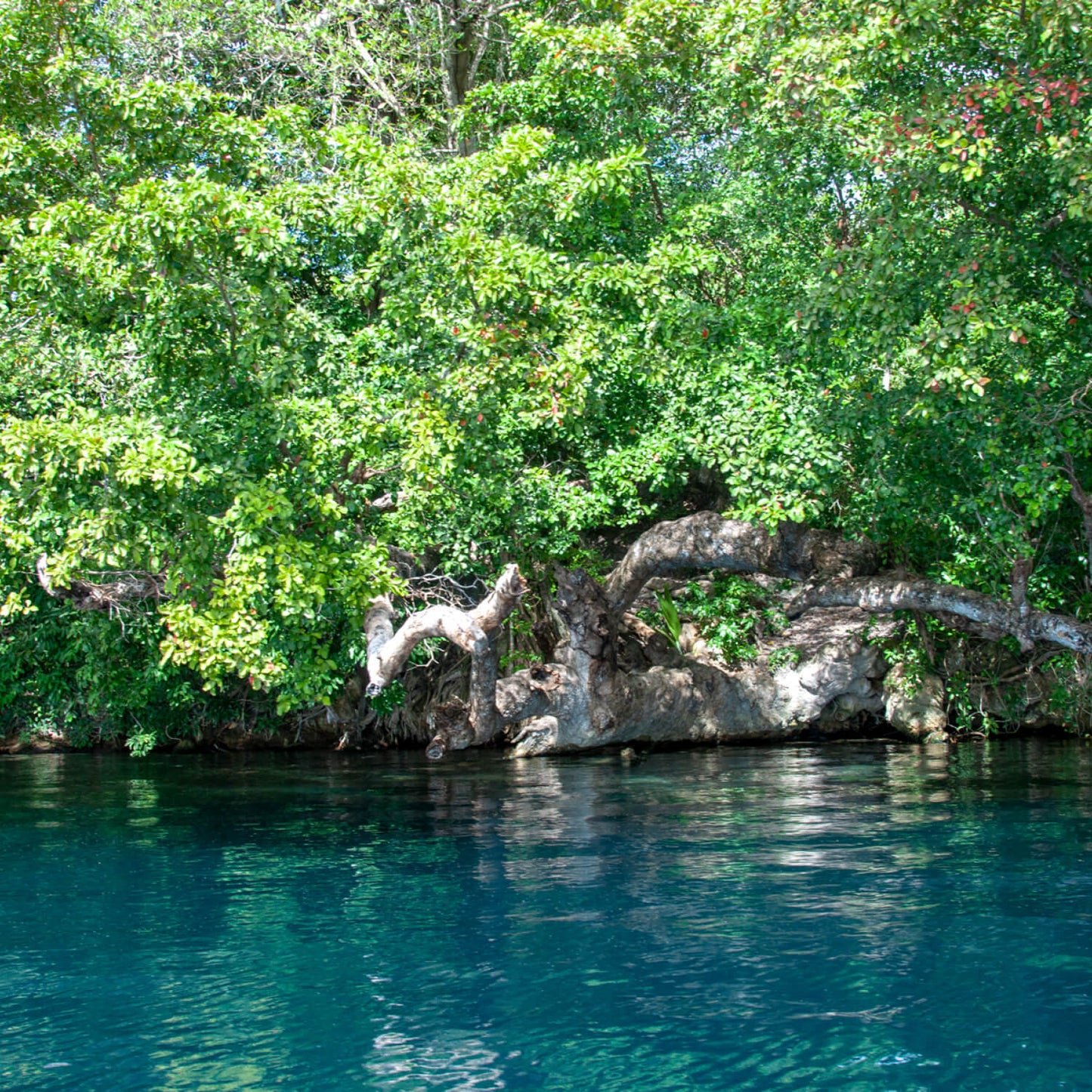 Bacalar Lagune & Cenote